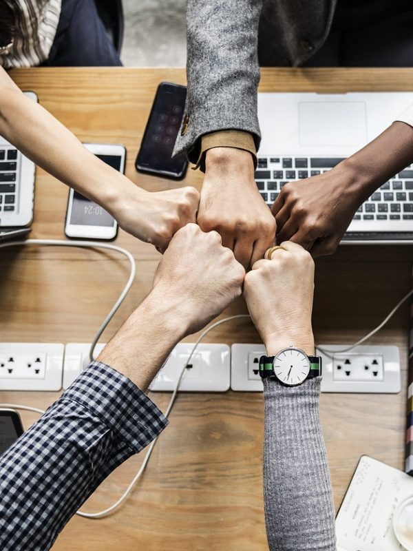 intelligence-collective intelligence-collective